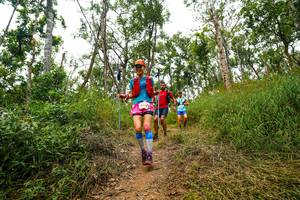 BIB: 
                            <button type="button" onclick="openModal(22386247)" class="btn btn-primary btn-sm float-right btn-popup" data-toggle="modal" data-target=".modal-high-quality">
                        <i class="fas fa-shopping-cart"></i> Add to Cart
                    </button>
                                            <button type="button" onclick="isThisMe(22386247, true)" class="btn btn-success btn-sm float-right btn-popup btn-isme hidden" data-toggle="tooltip" data-placement="bottom" title="นี่คือรูปของคุณใช่ไหม คลิกที่นี่เพื่อเอาเข้าอัลบั้ม">
                        <i class="fas fa-plus"></i> Add to album
                    </button>
                    <button type="button" onclick="isThisMe(22386247, false)" class="btn btn-warning btn-sm float-right btn-popup btn-isnotme hidden">
                        <i class="fas fa-ban"></i> Remove from album
                    </button>